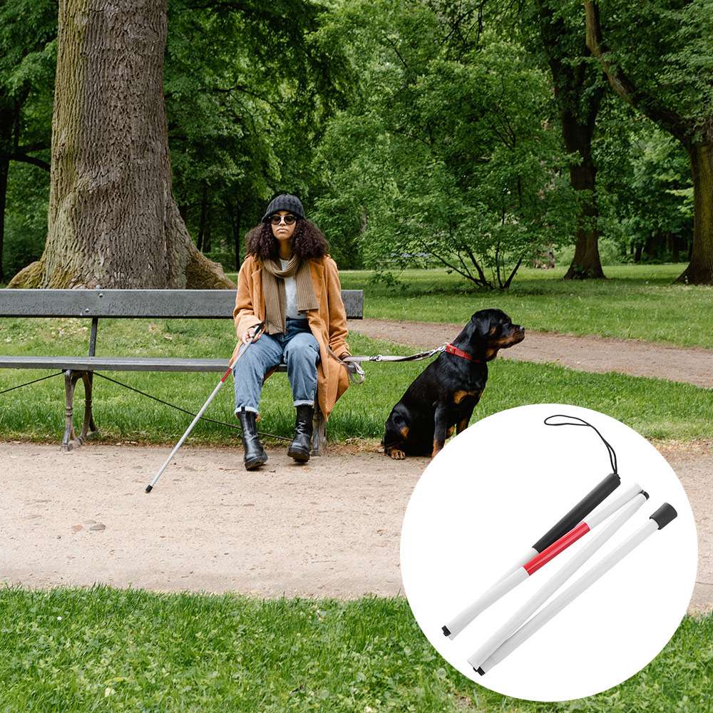 Canne de marche en alliage d'a - Folding Walking Sticks Hiking Adjustable avis et prix