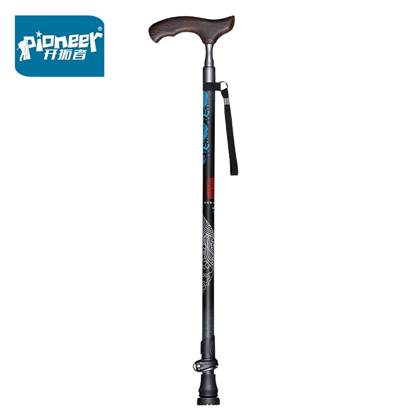 Bâtons de marche avec manche e - Nordic Walking Poles Carbon 100 avis et prix
